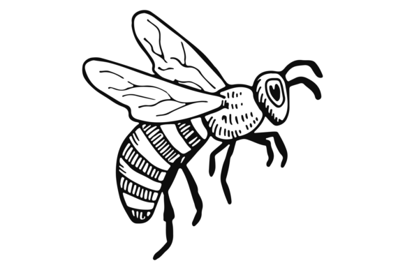 Bee Sketch: Honey Insect Flying. Winged Font Review