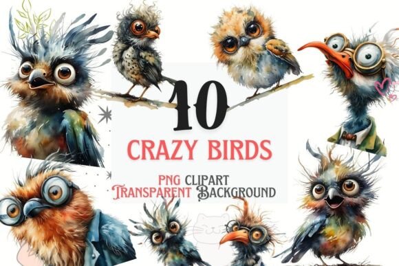 Unleash Your Creative Side with Funny Crazy Birds PNG Clipart